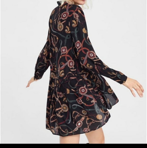 Zara Basic Chain Buckle Print Dress - Picture 2 of 13